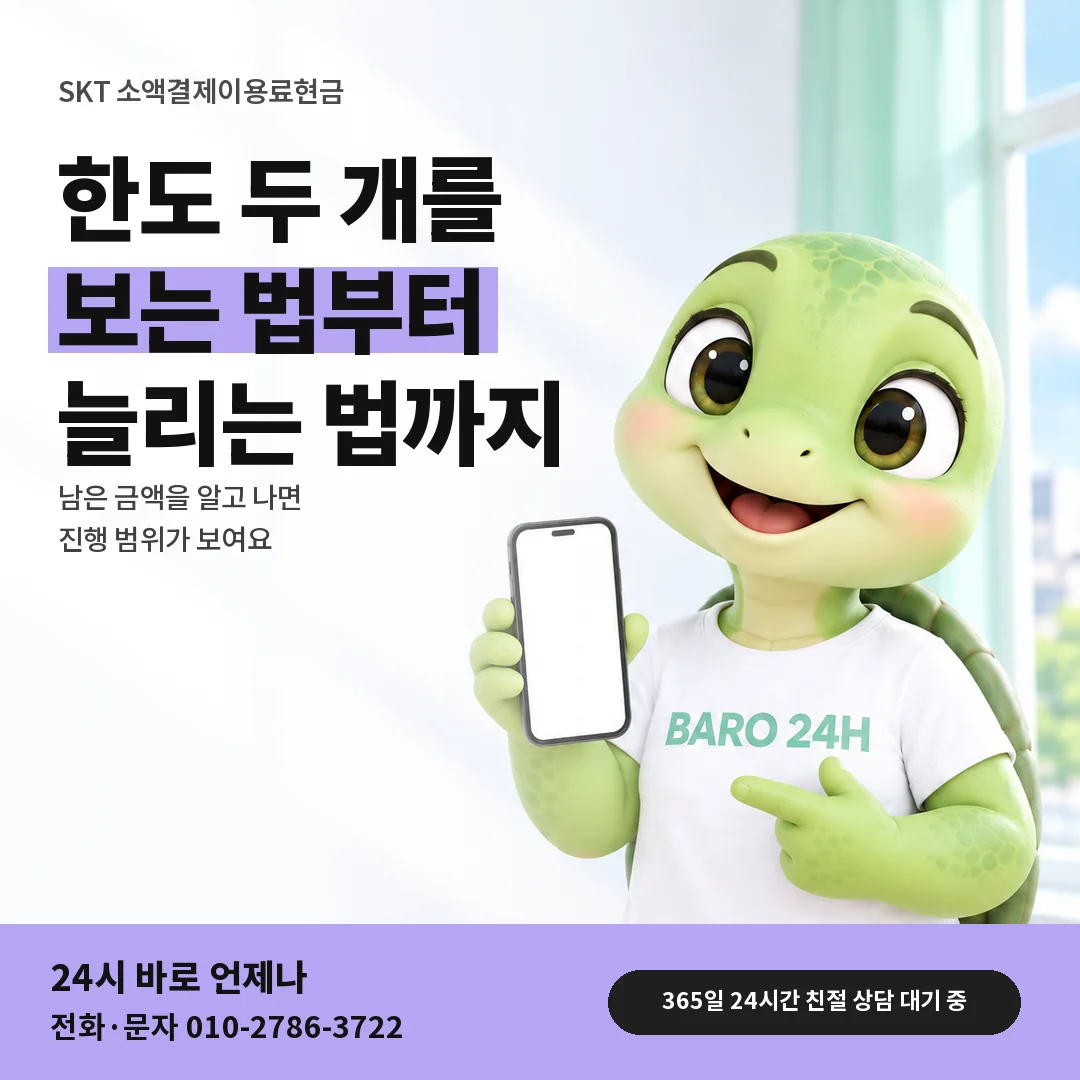 BARO 24H 티셔츠를 입은 3D 거북이 캐릭터 옆에 「SKT 소액결제이용료현금 한도 안내」 제목을 얹은 안내 카드