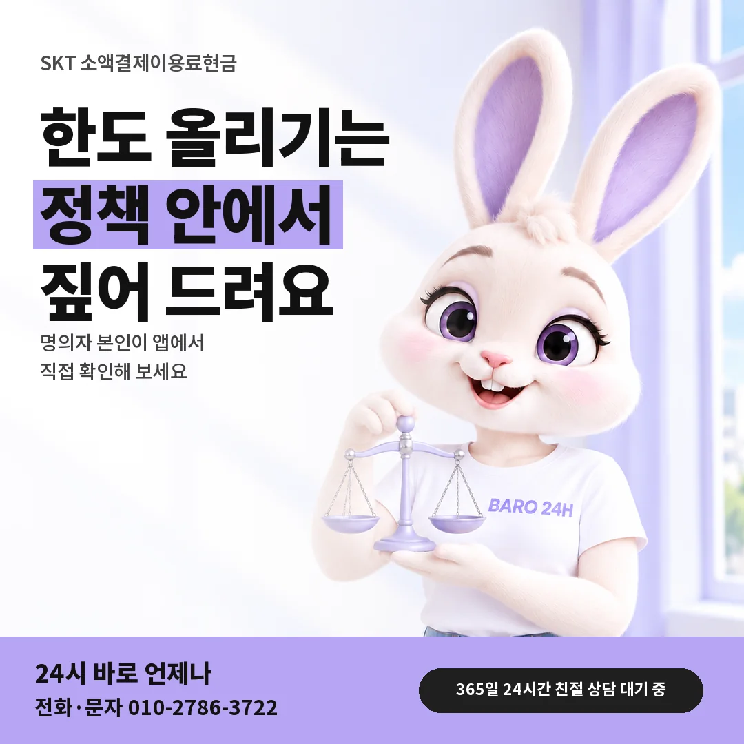 저울을 든 BARO 24H 티셔츠를 입은 3D 토끼 캐릭터 옆에 「SKT 한도 올리기」 제목을 얹은 안내 카드